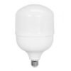 LEDs Alta Potencia Tipo T 40W E27 6500K